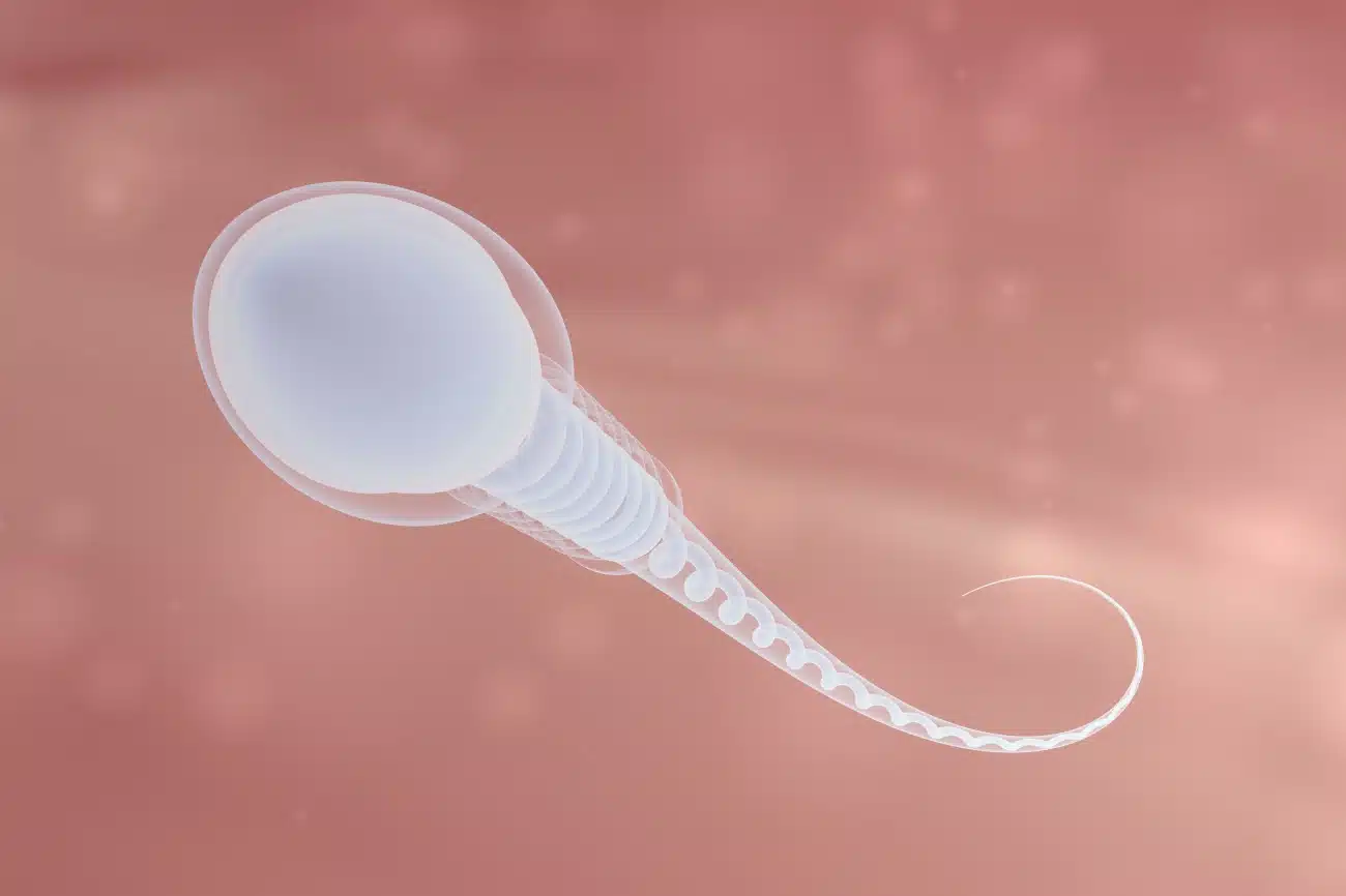 Stimulation ovarienne | Stimulation ovarienne injection | Clinique de la fertilité | Paris