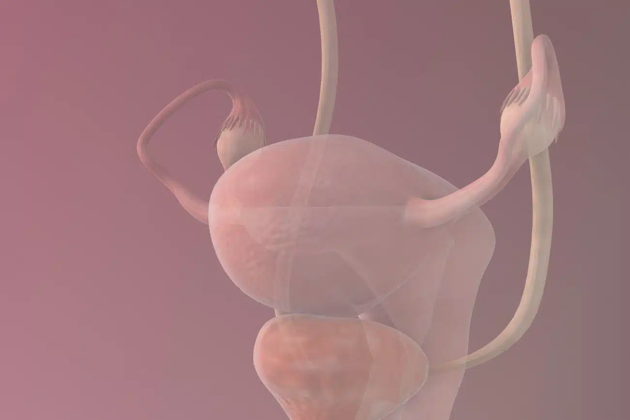 Hystérosalpingographie : les tarifs | Hystérosalpingographie prix | Clinique de la fertilité | Paris
